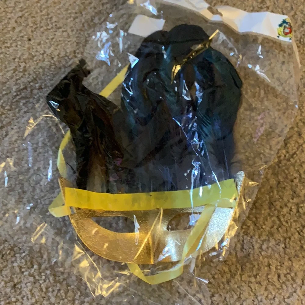 Masquerade Mask with Feathers